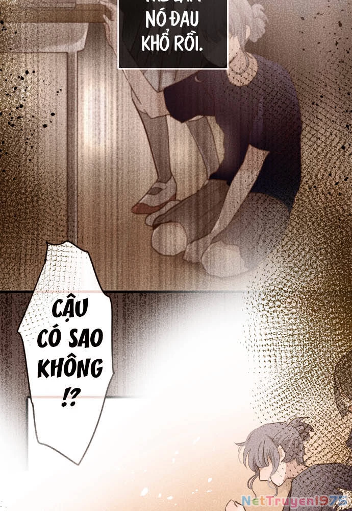 Hoa Cánh Sao Chapter 109 - 15