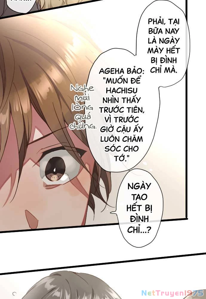 Hoa Cánh Sao Chapter 111 - 37