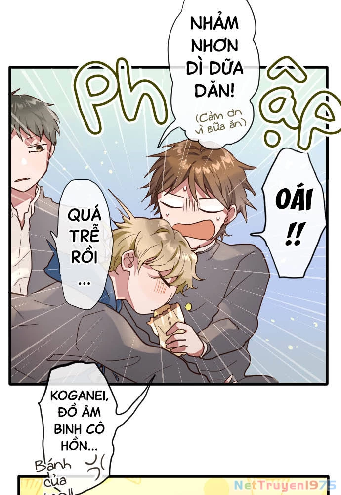 Hoa Cánh Sao Chapter 113 - 31