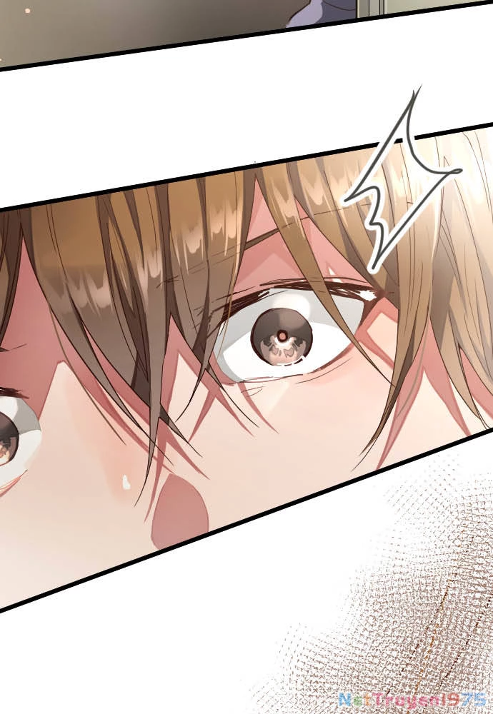 Hoa Cánh Sao Chapter 114 - 49