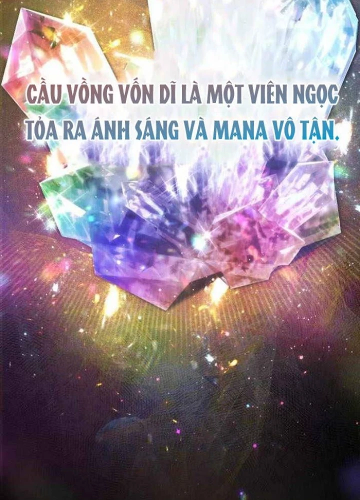 Đa Sắc Ma Pháp Sư Thiên Tài Chapter 33 - 19