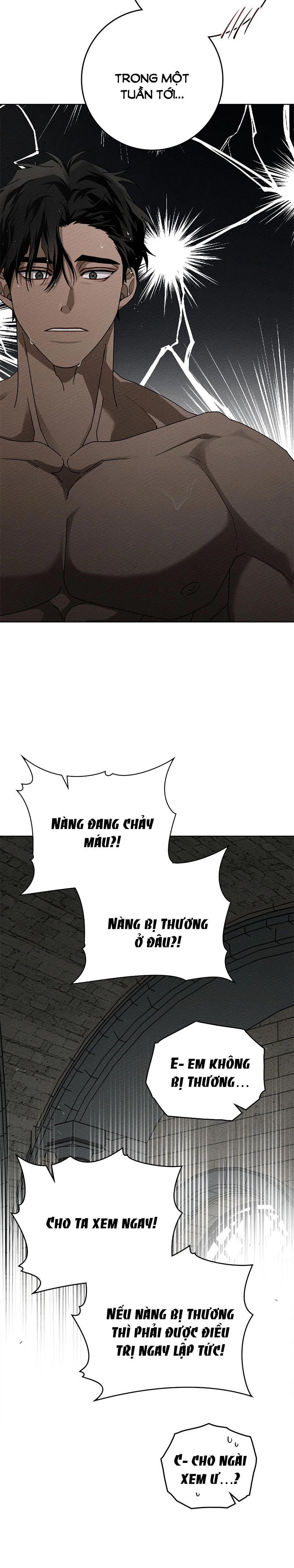 Dưới Bóng Cây Sồi Chapter 88.1 - 9