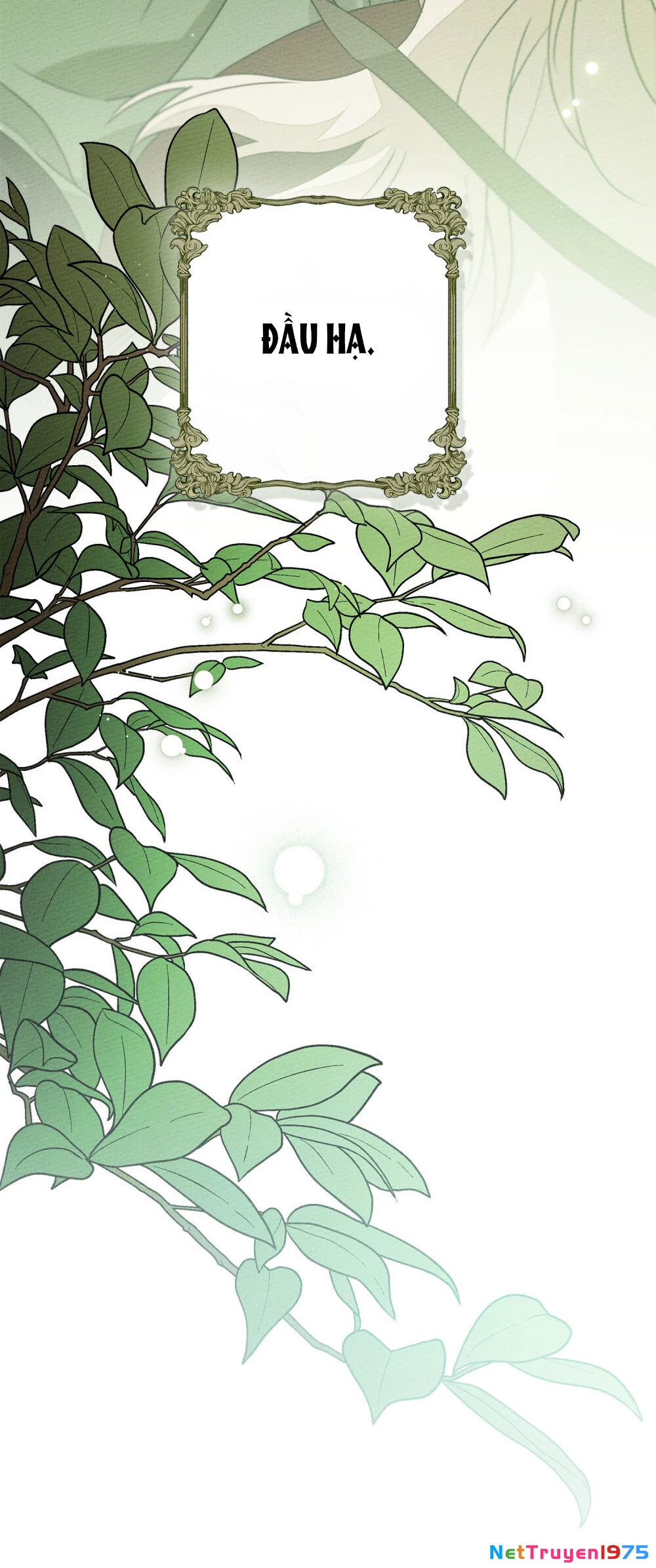 Dưới Bóng Cây Sồi Chapter 95.2 - 45