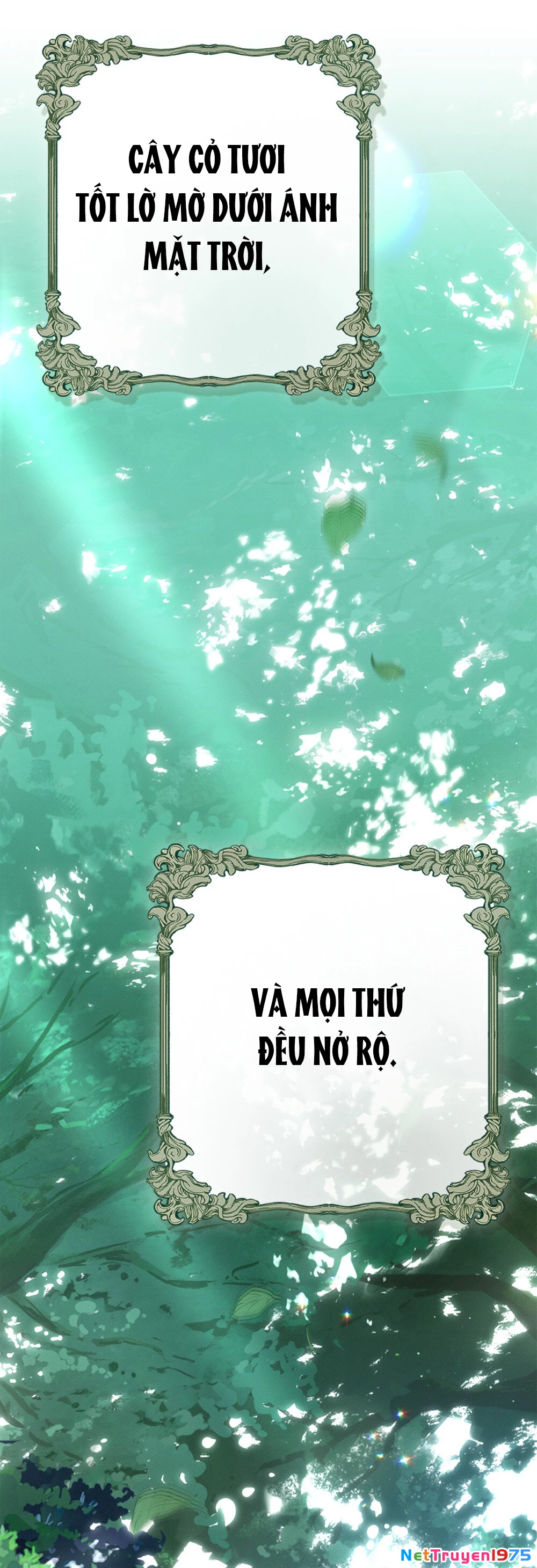 Dưới Bóng Cây Sồi Chapter 95.2 - 46