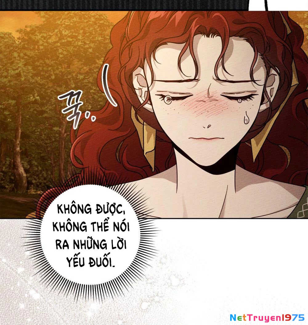 Dưới Bóng Cây Sồi Chapter 96 - 13