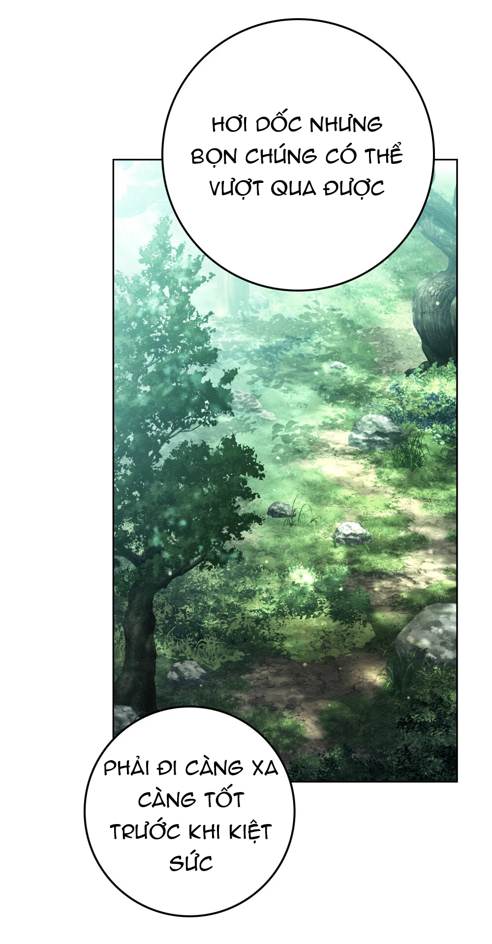 Dưới Bóng Cây Sồi Chapter 101 - 36