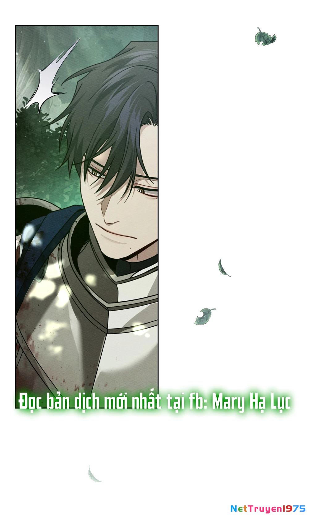 Dưới Bóng Cây Sồi Chapter 101 - 42