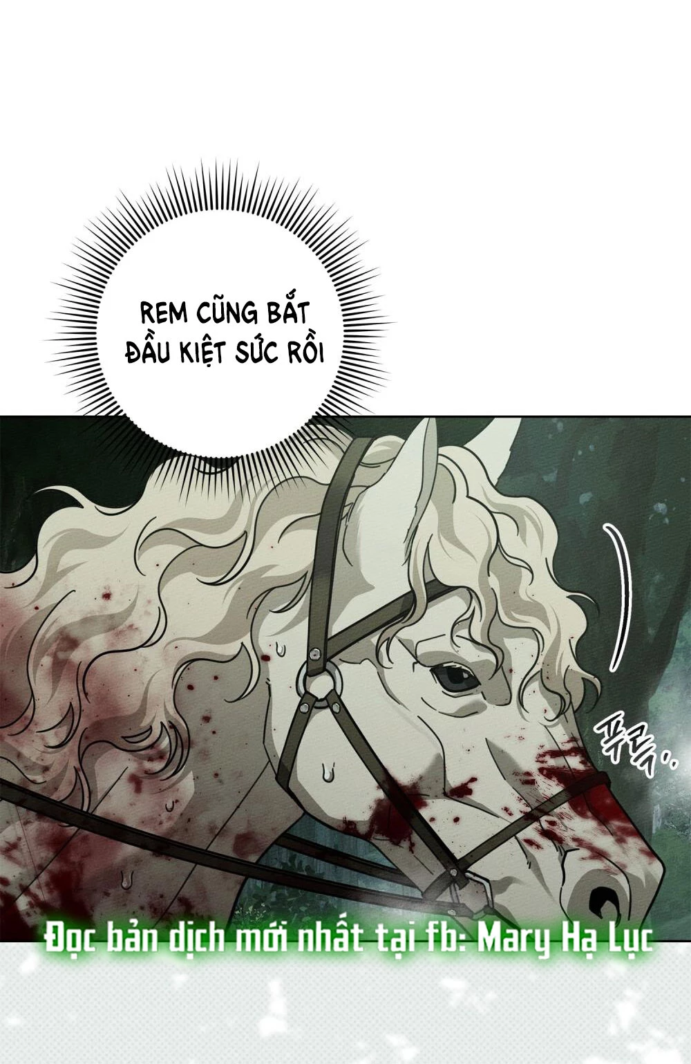 Dưới Bóng Cây Sồi Chapter 102 - 18