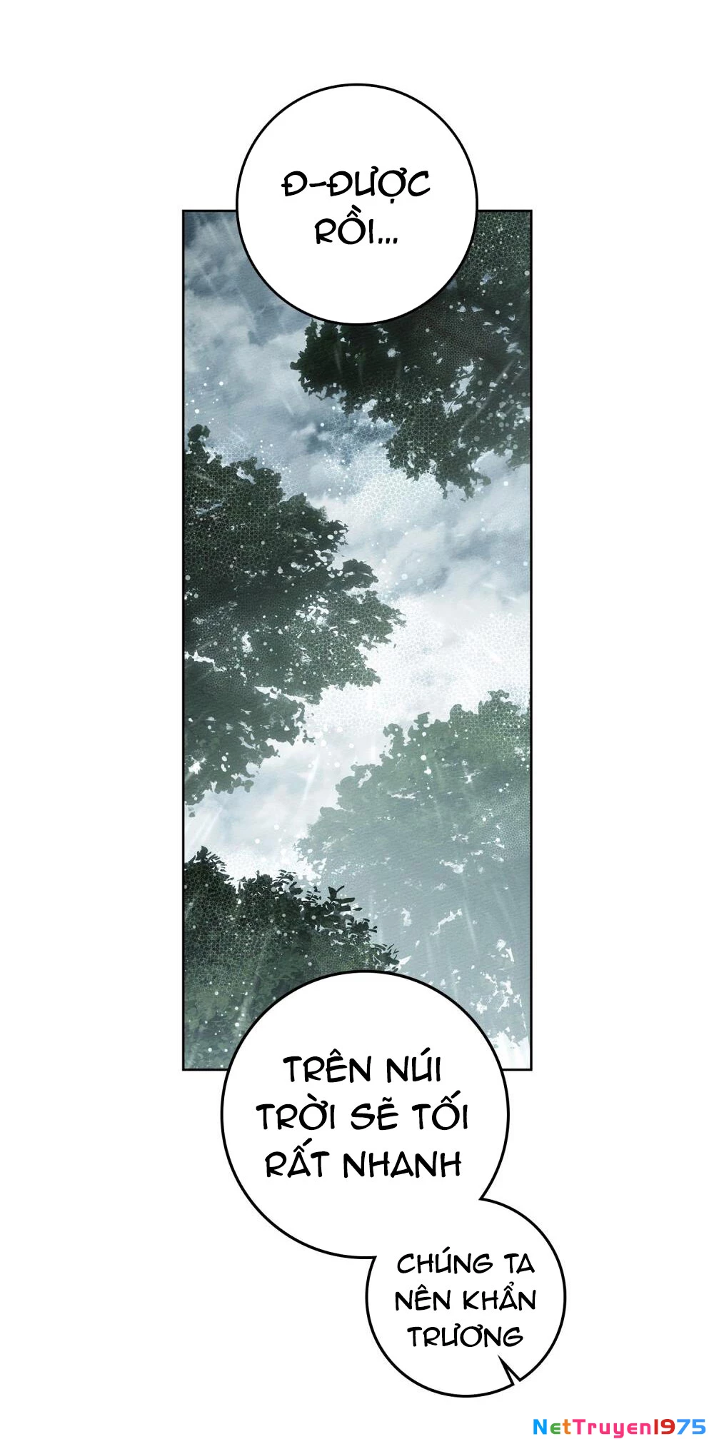 Dưới Bóng Cây Sồi Chapter 104 - 11