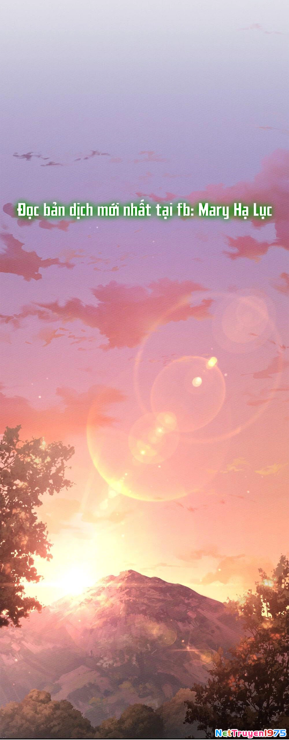 Dưới Bóng Cây Sồi Chapter 104 - 14