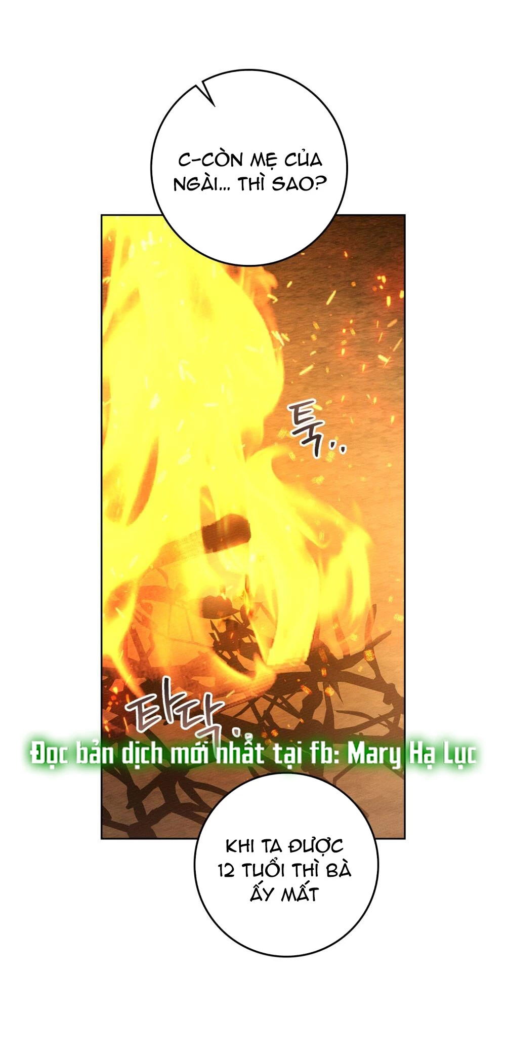 Dưới Bóng Cây Sồi Chapter 104 - 53