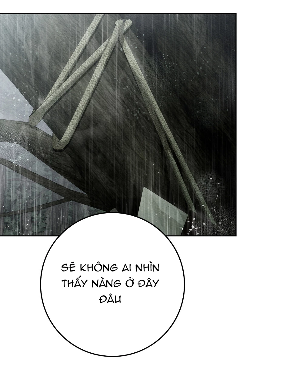 Dưới Bóng Cây Sồi Chapter 107 - 19