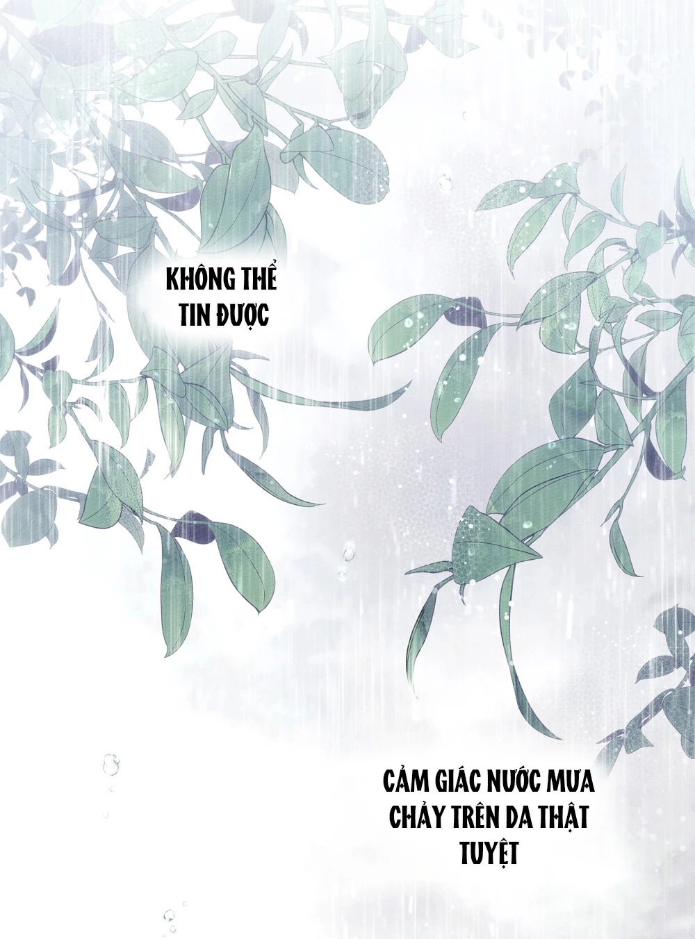 Dưới Bóng Cây Sồi Chapter 107 - 32
