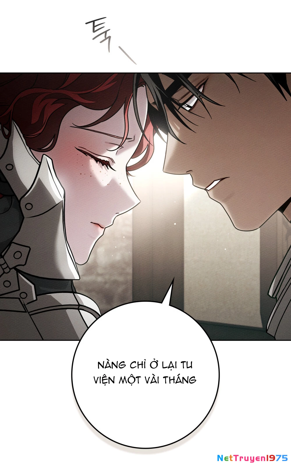 Dưới Bóng Cây Sồi Chapter 111 - 12