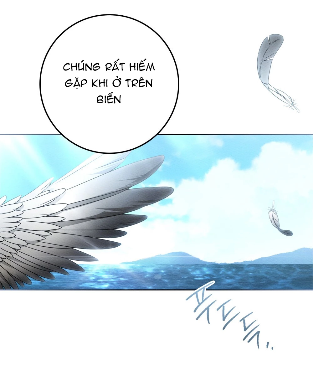Dưới Bóng Cây Sồi Chapter 111 - 23