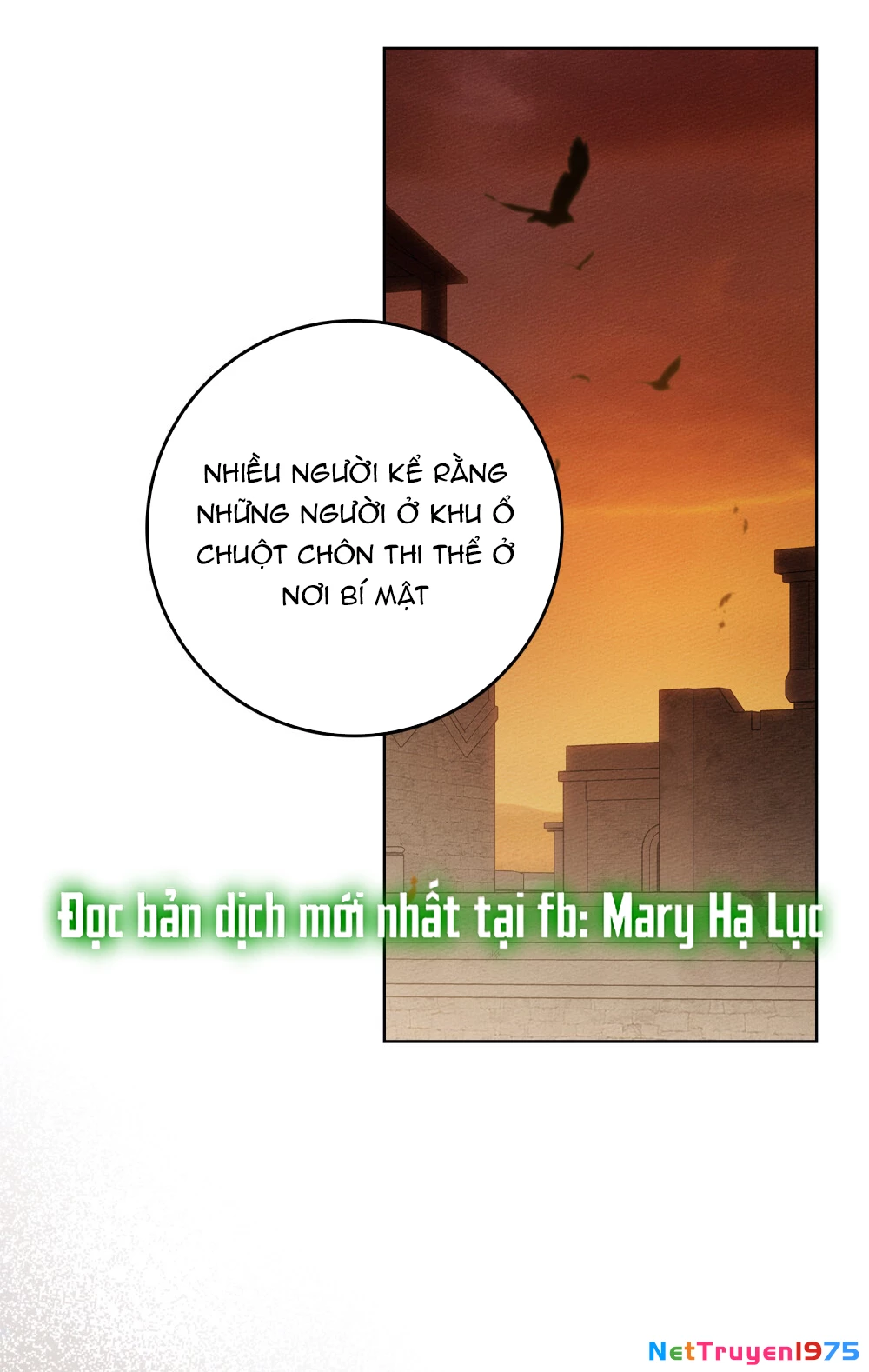 Dưới Bóng Cây Sồi Chapter 116.2 - 41