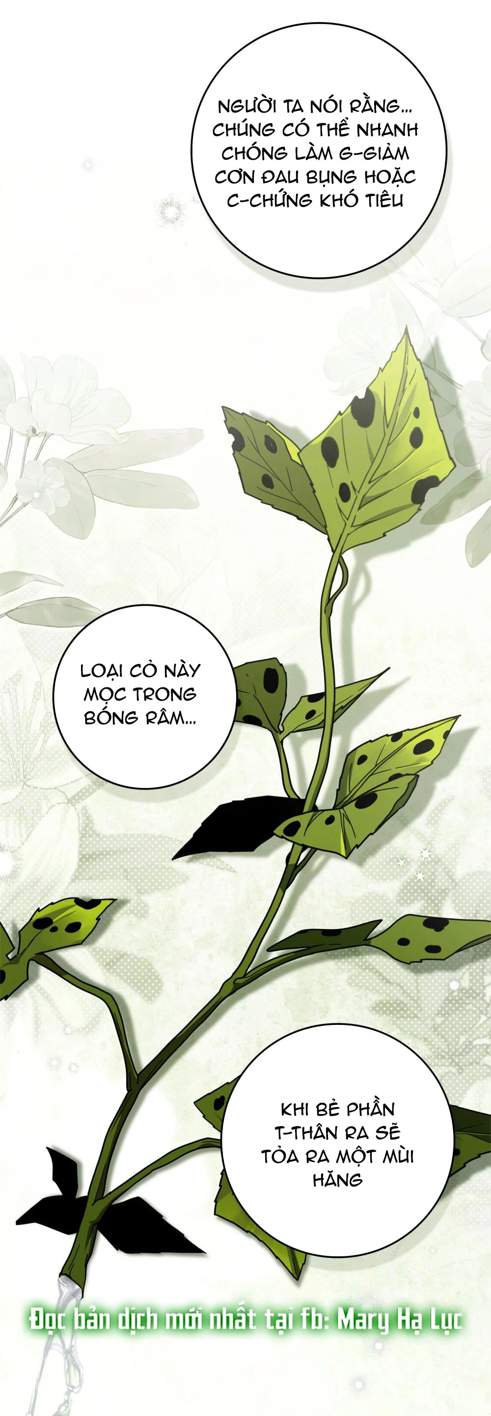 Dưới Bóng Cây Sồi Chapter 117.1 - 6