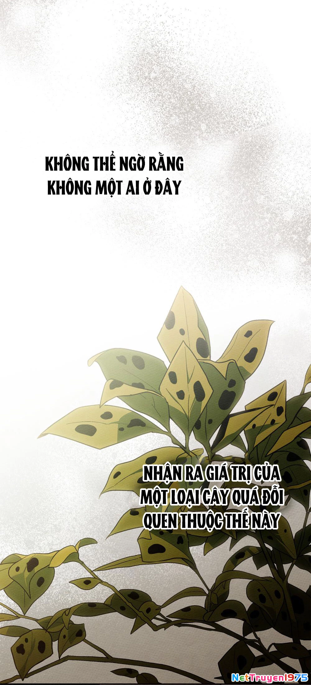Dưới Bóng Cây Sồi Chapter 117.1 - 15