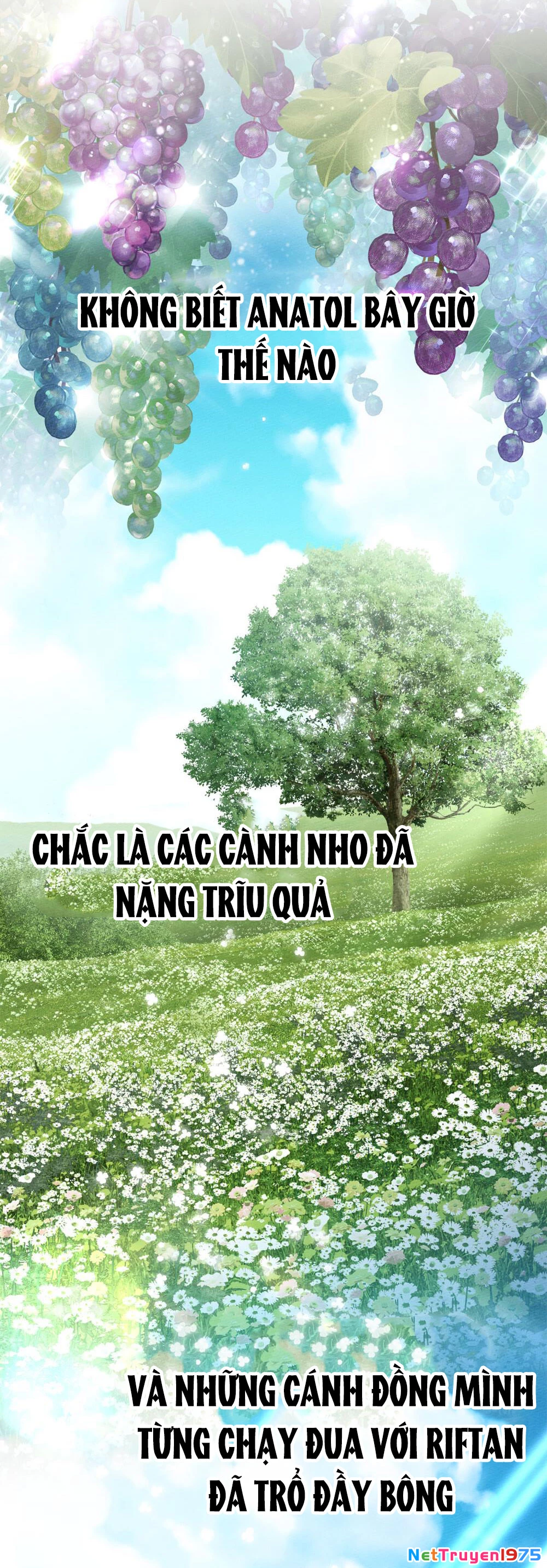 Dưới Bóng Cây Sồi Chapter 117.2 - 26