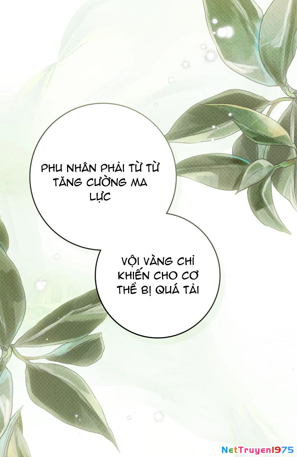 Dưới Bóng Cây Sồi Chapter 123.1 - 6