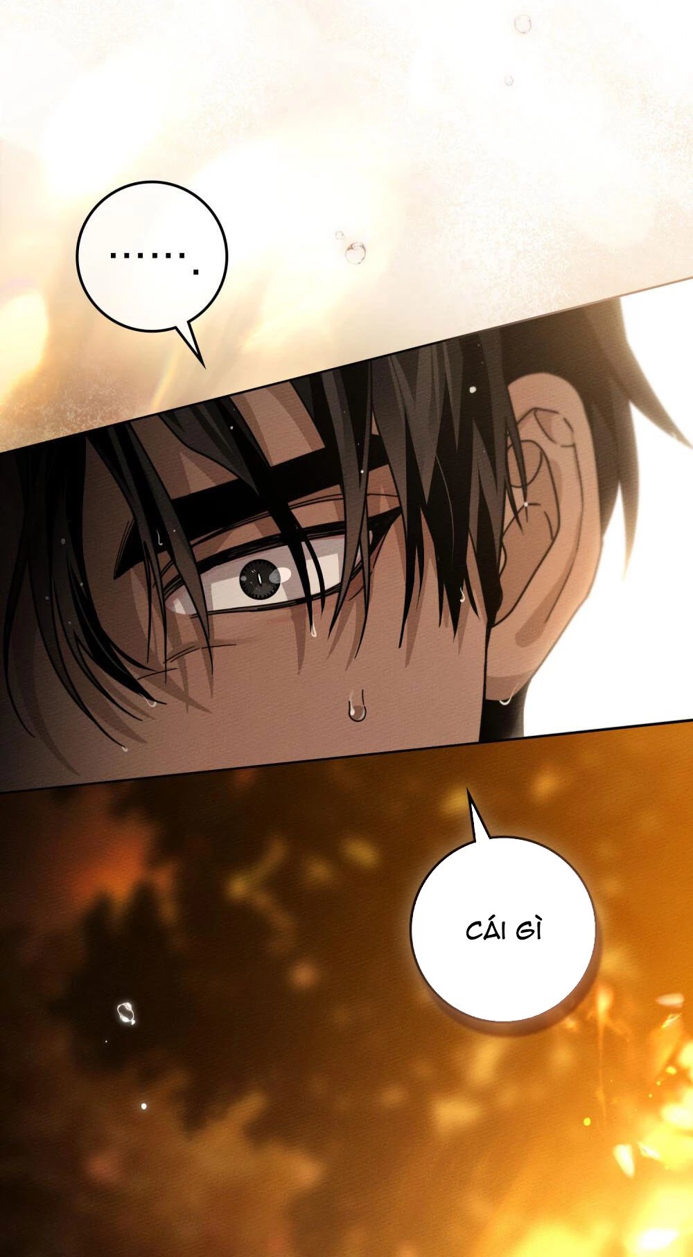 Dưới Bóng Cây Sồi Chapter 125.2 - 52