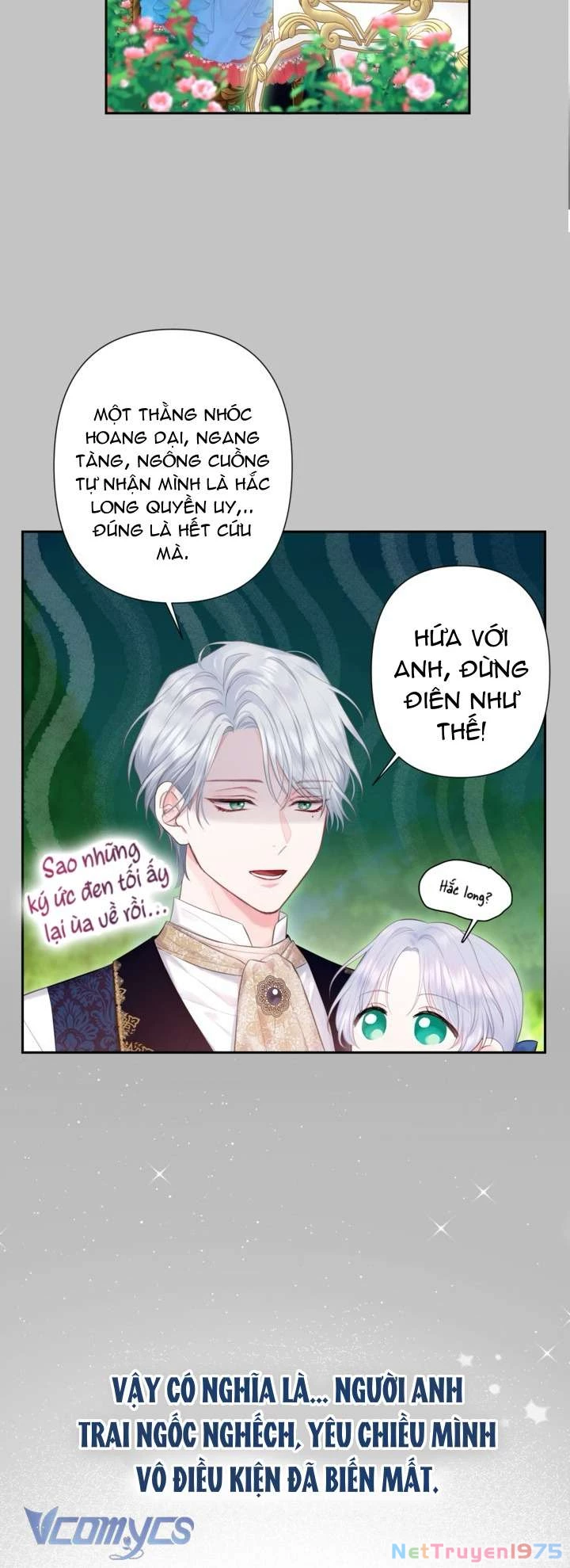 Người Anh Trai Mạnh Nhất Của Tôi Đã Mất Trí Nhớ Chapter 2 - Trang 2