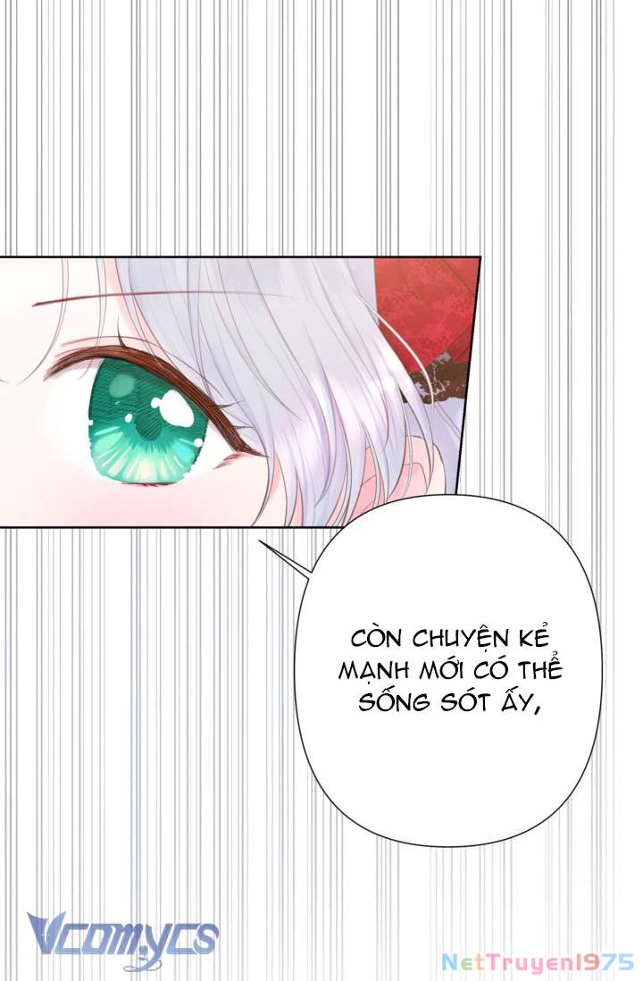 Người Anh Trai Mạnh Nhất Của Tôi Đã Mất Trí Nhớ Chapter 16 - Trang 2