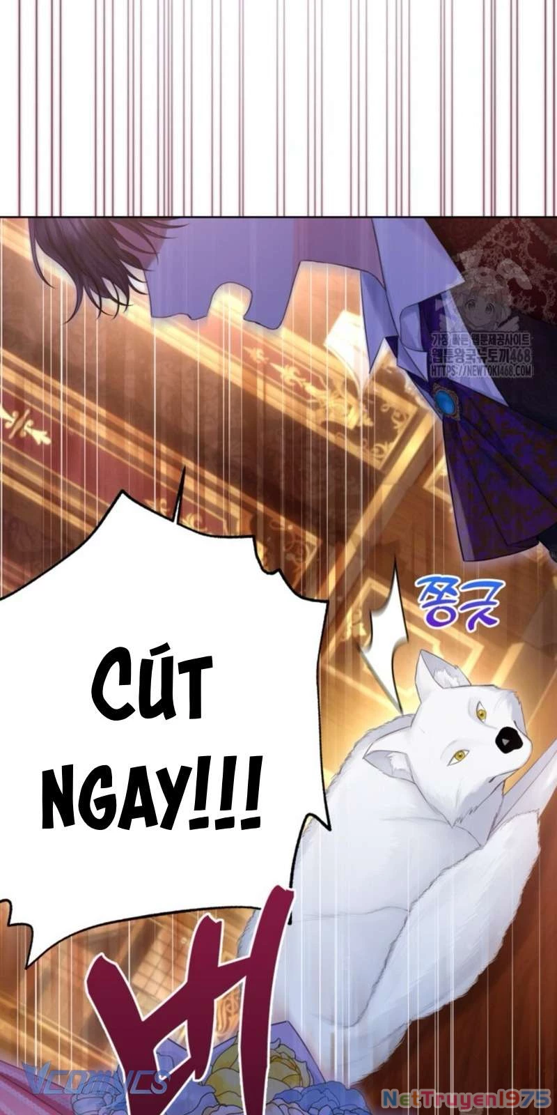 Người Anh Trai Mạnh Nhất Của Tôi Đã Mất Trí Nhớ Chapter 23 - Trang 2