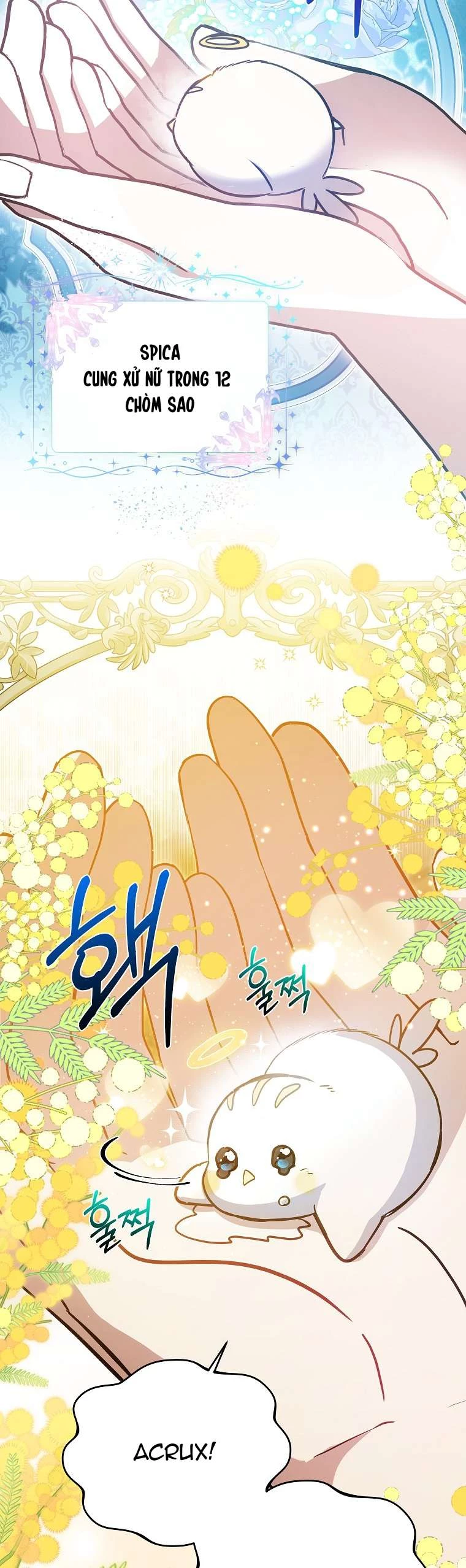 Chị Gái Tôi Là Nhân Vật Chính Chapter 13 - 5