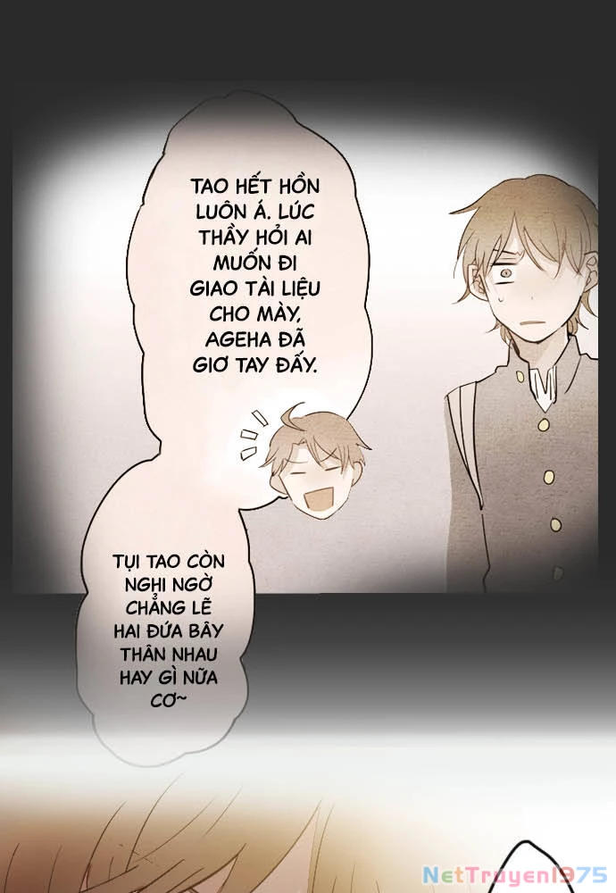 Hoa Cánh Sao Chapter 34 - 12