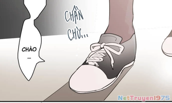 Hoa Cánh Sao Chapter 36 - 66