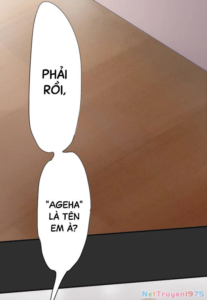 Hoa Cánh Sao Chapter 37 - 37