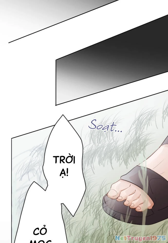 Hoa Cánh Sao Chapter 38 - 37