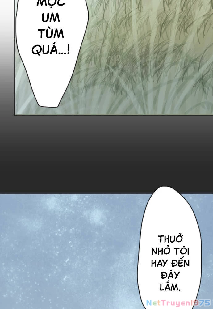 Hoa Cánh Sao Chapter 38 - 38