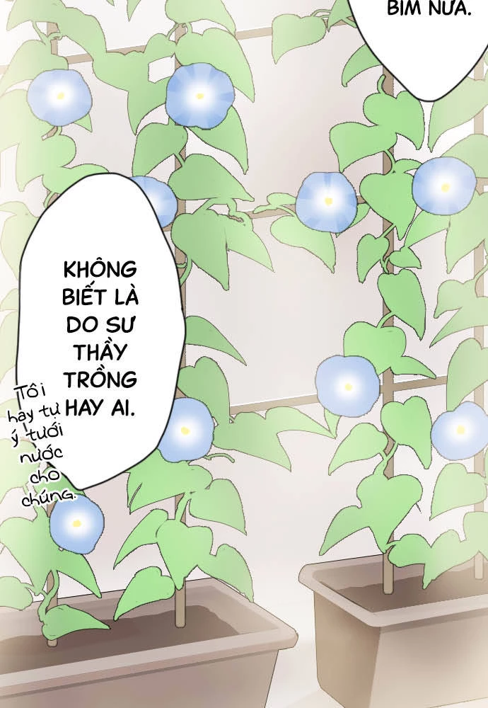 Hoa Cánh Sao Chapter 38 - 47