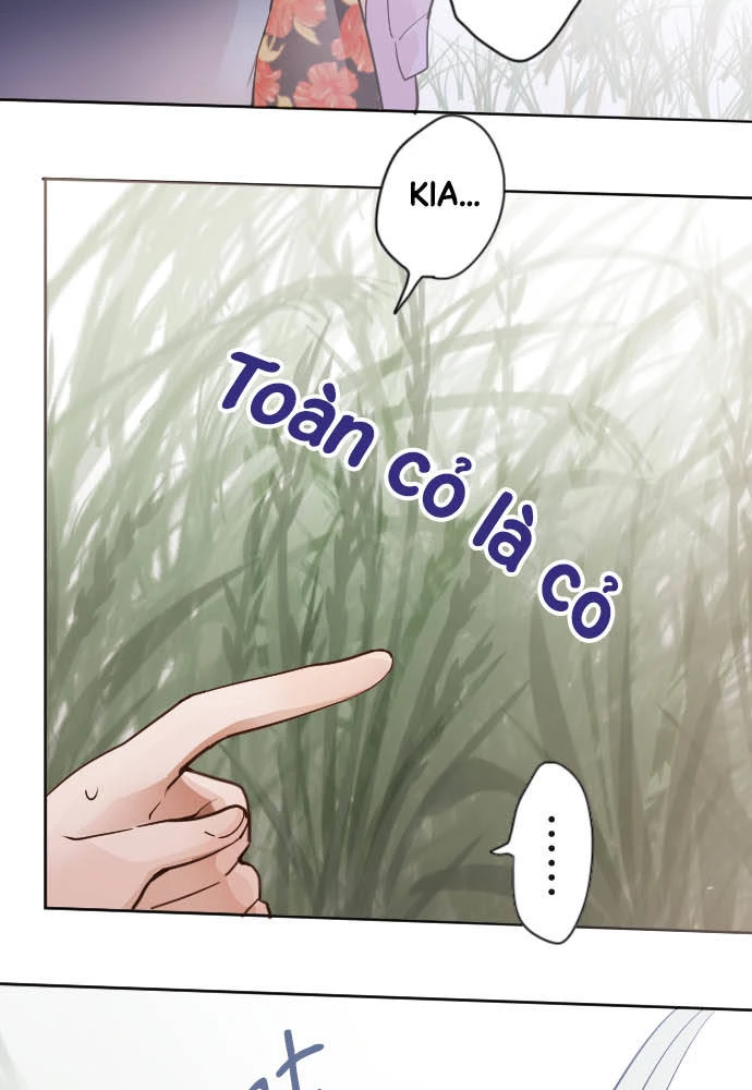 Hoa Cánh Sao Chapter 38 - 49