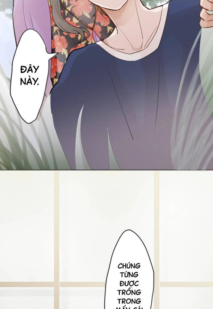 Hoa Cánh Sao Chapter 38 - 51