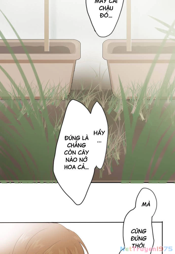 Hoa Cánh Sao Chapter 38 - 52