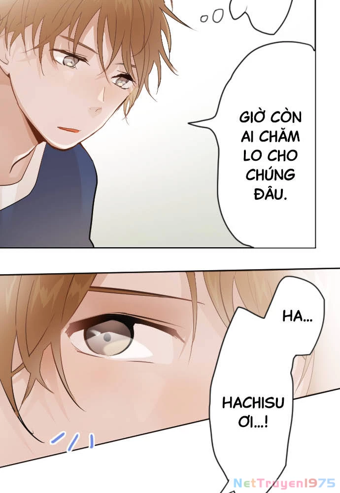 Hoa Cánh Sao Chapter 38 - 53