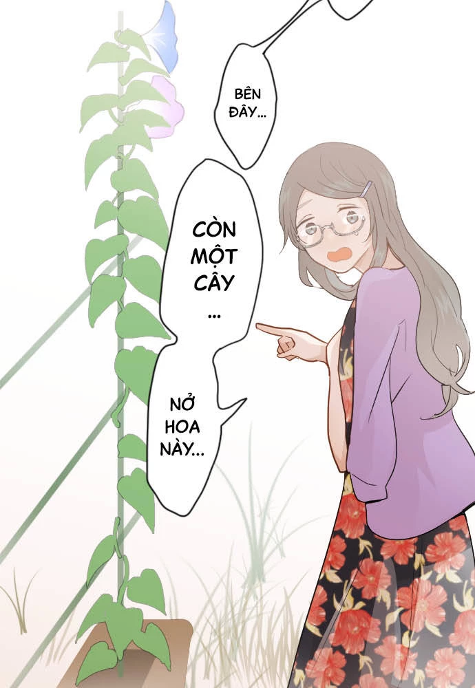 Hoa Cánh Sao Chapter 38 - 54