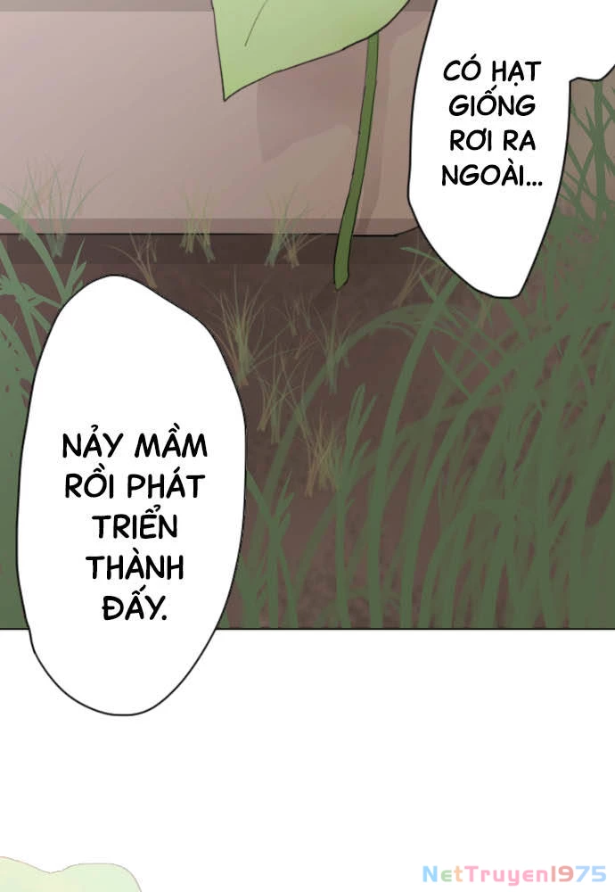 Hoa Cánh Sao Chapter 38 - 58