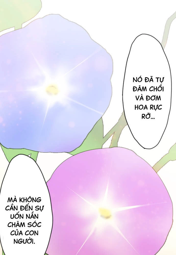 Hoa Cánh Sao Chapter 38 - 59