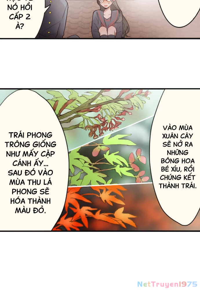Hoa Cánh Sao Chapter 38.5 - 3