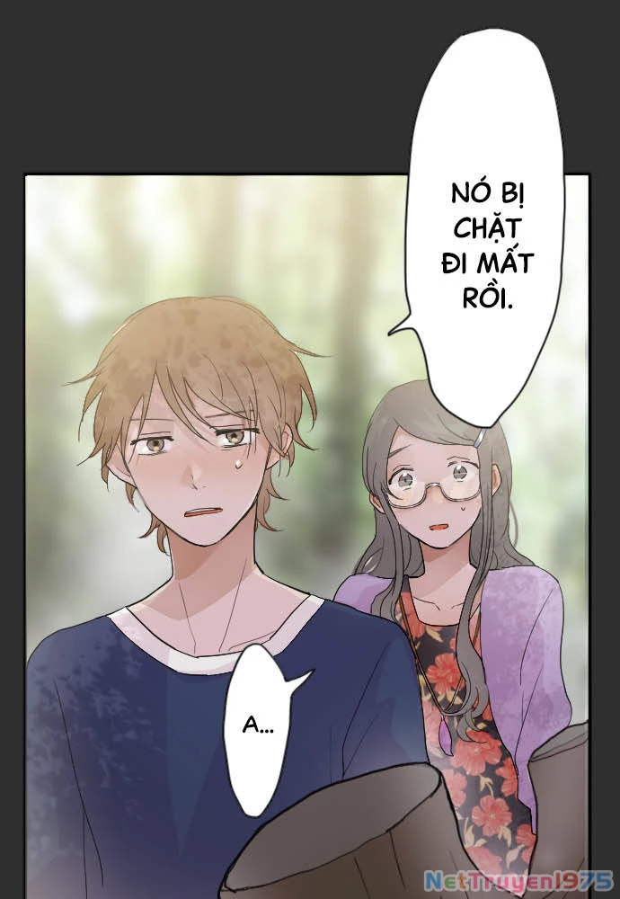 Hoa Cánh Sao Chapter 39 - 18