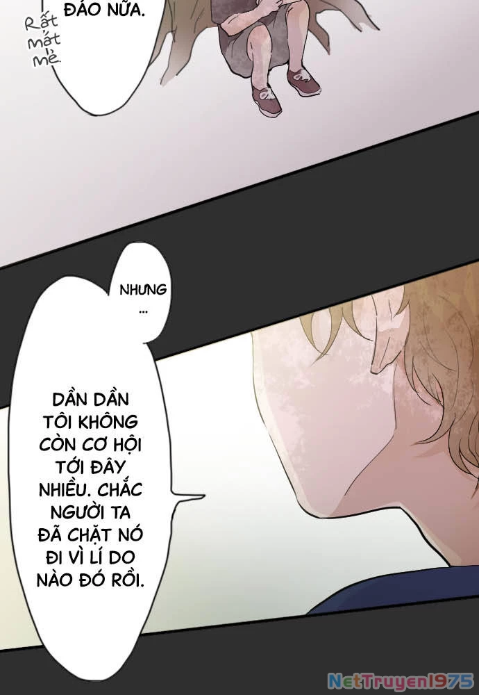 Hoa Cánh Sao Chapter 39 - 20