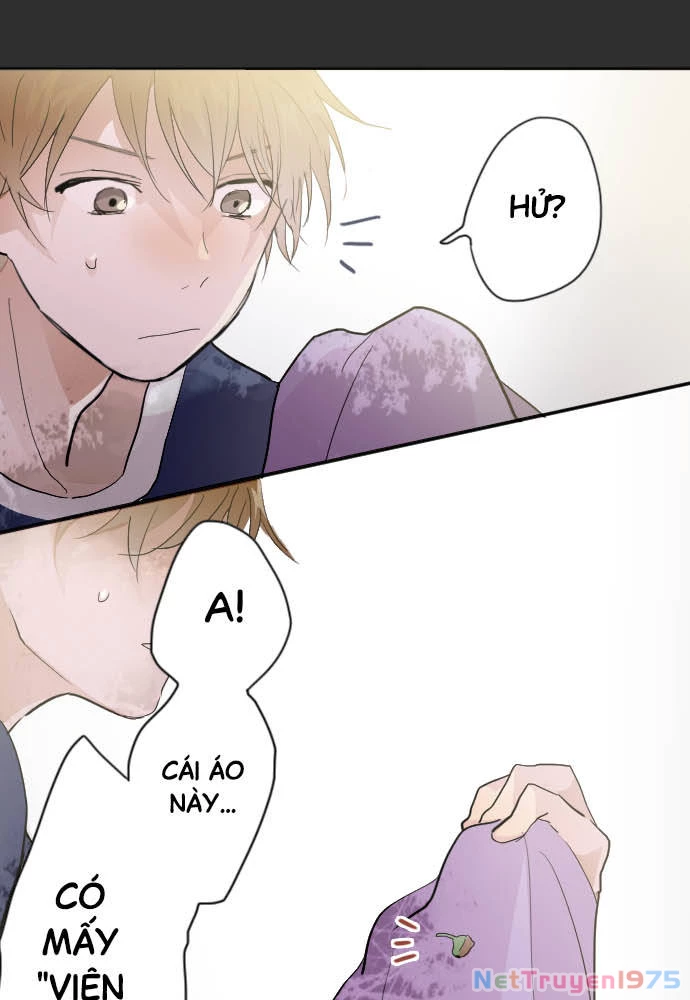 Hoa Cánh Sao Chapter 39 - 45