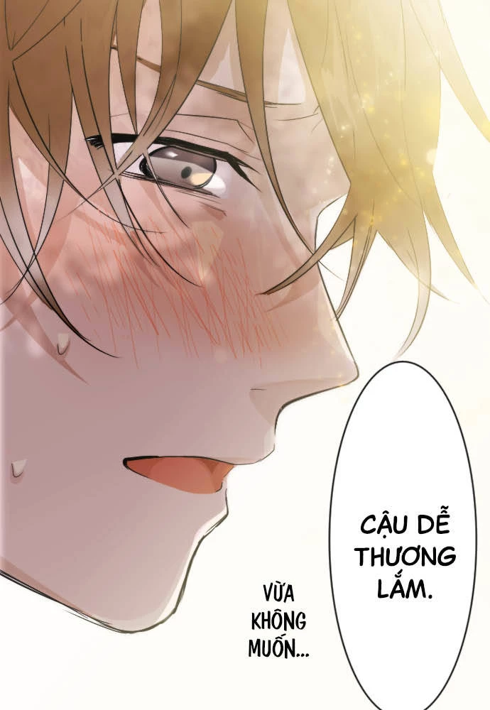 Hoa Cánh Sao Chapter 39 - 71