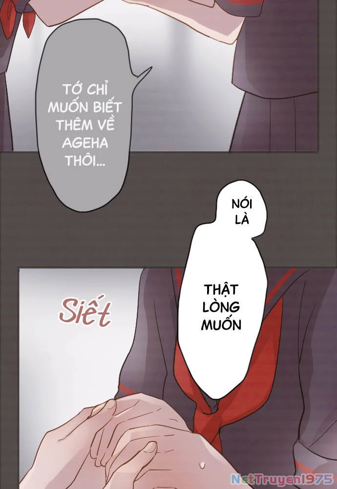 Hoa Cánh Sao Chapter 43 - 38
