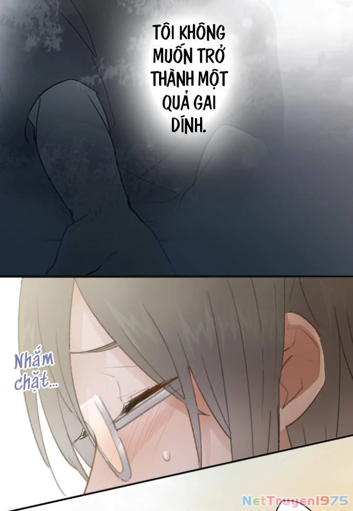 Hoa Cánh Sao Chapter 43 - 58