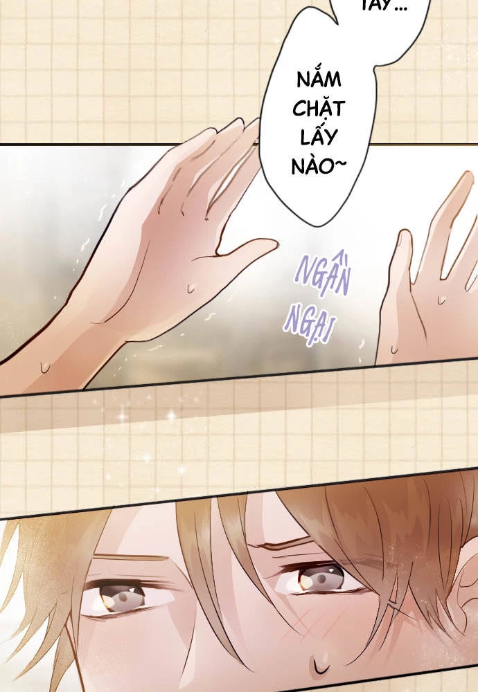 Hoa Cánh Sao Chapter 45 - 60